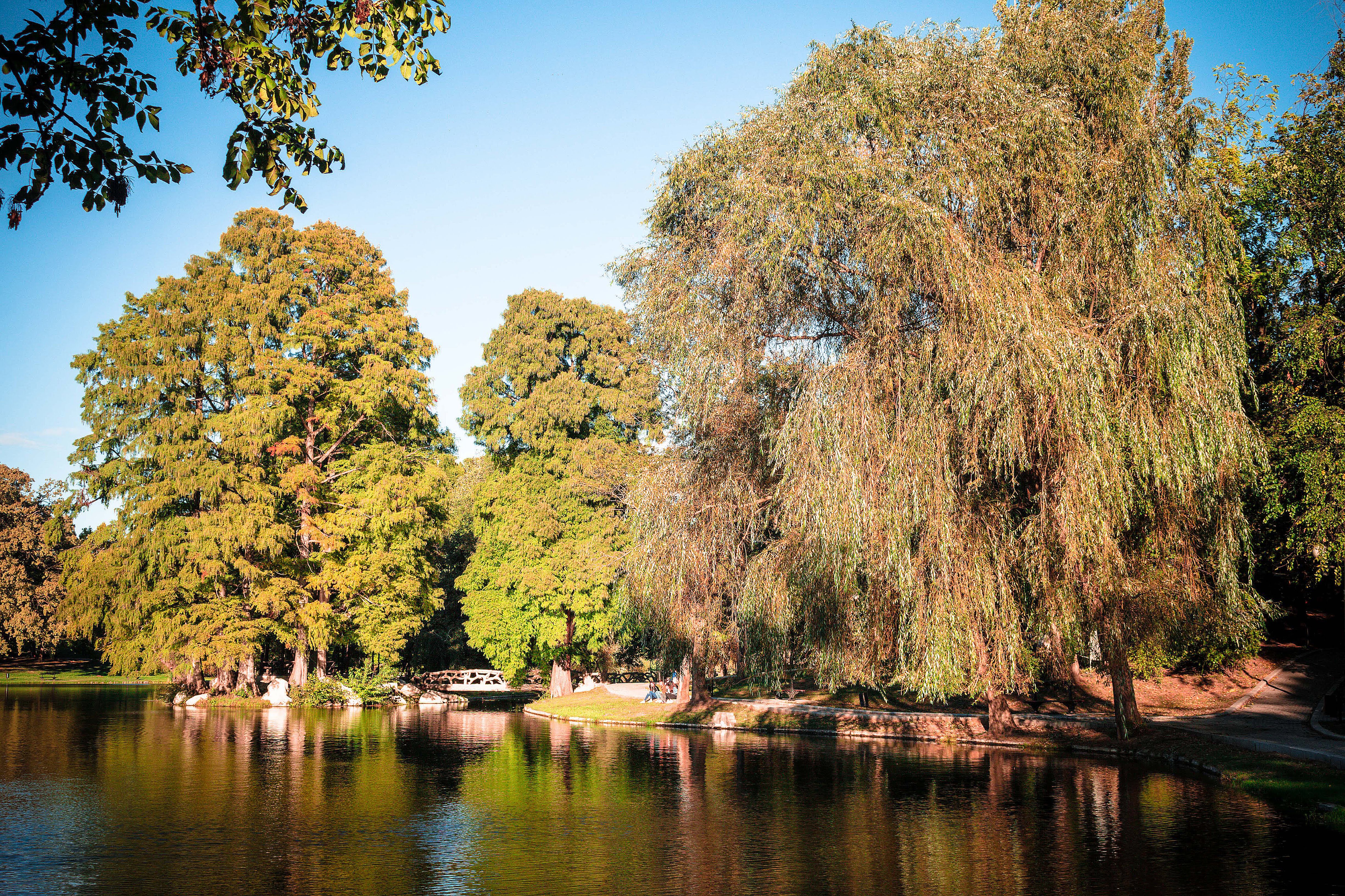 Lacul din Parcul Romanescu